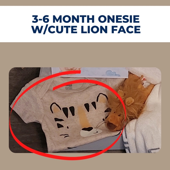 Bamboo Hooded Baby Towel Gift Set w/Lion Onesie, Toy Lion & Personalized Card - Picture 4 of 8